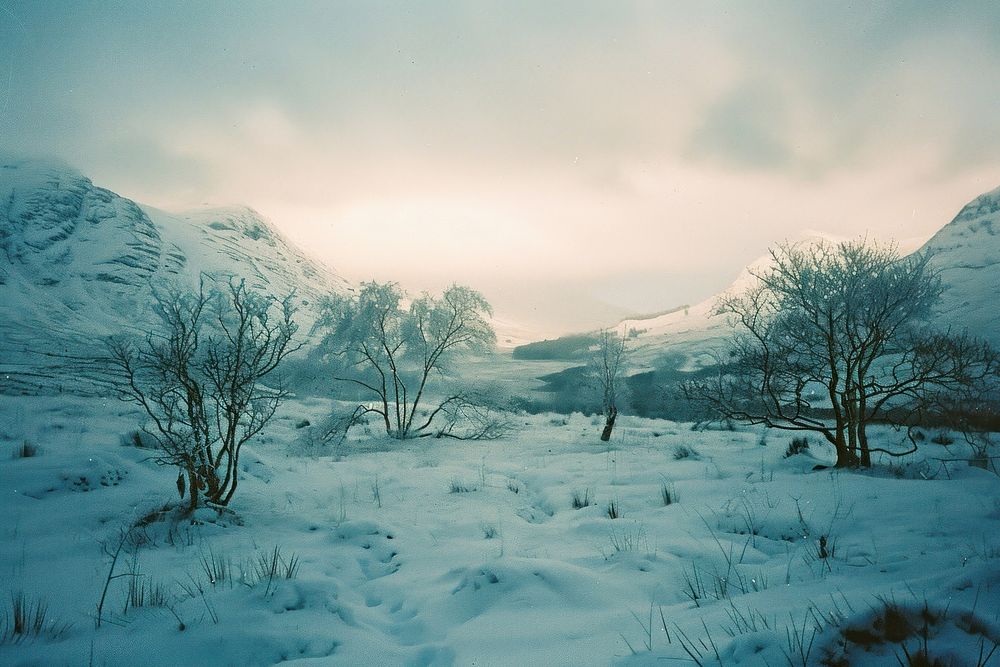Scotland landscape in winter vegetation outdoors scenery.