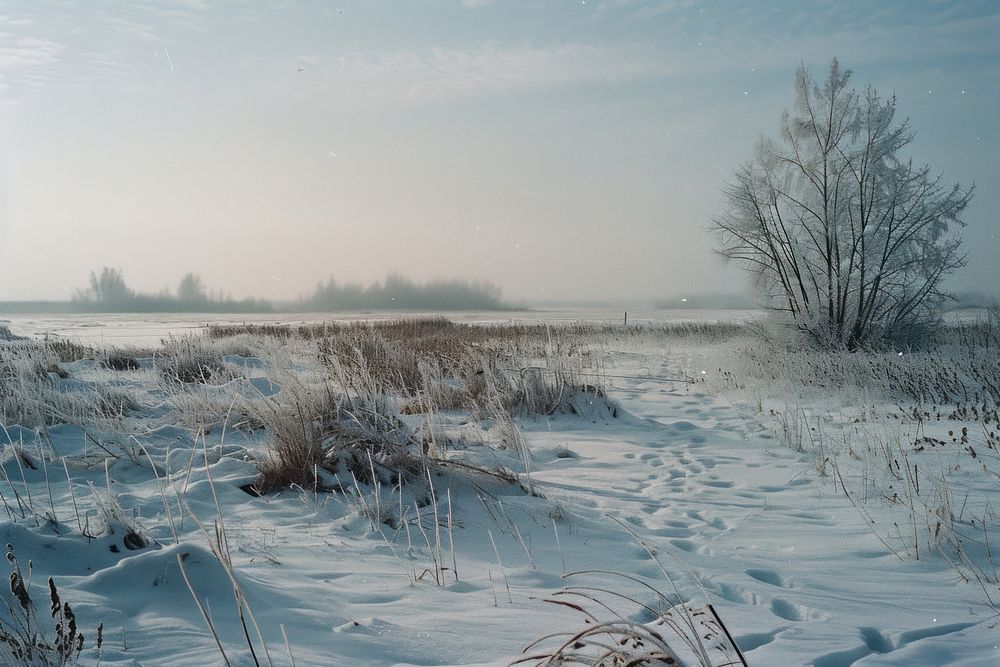 Siberia landscape in winter outdoors scenery weather.