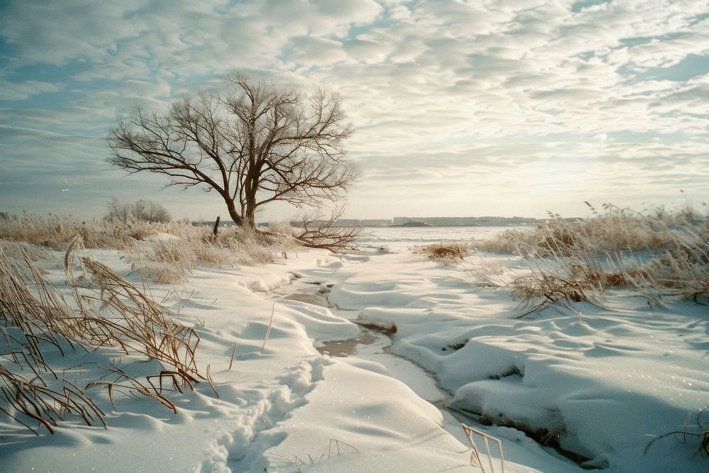 Siberia landscape in winter outdoors scenery nature.