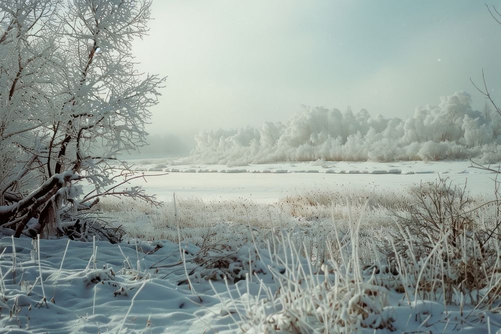 Siberia landscape in winter outdoors weather scenery.