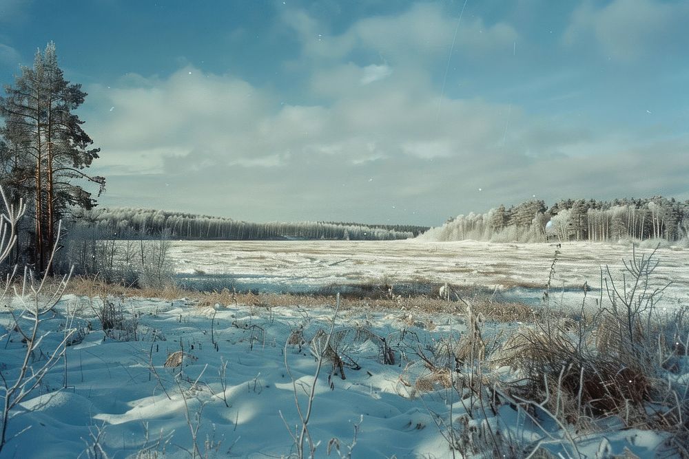 Siberia landscape in winter outdoors scenery nature.