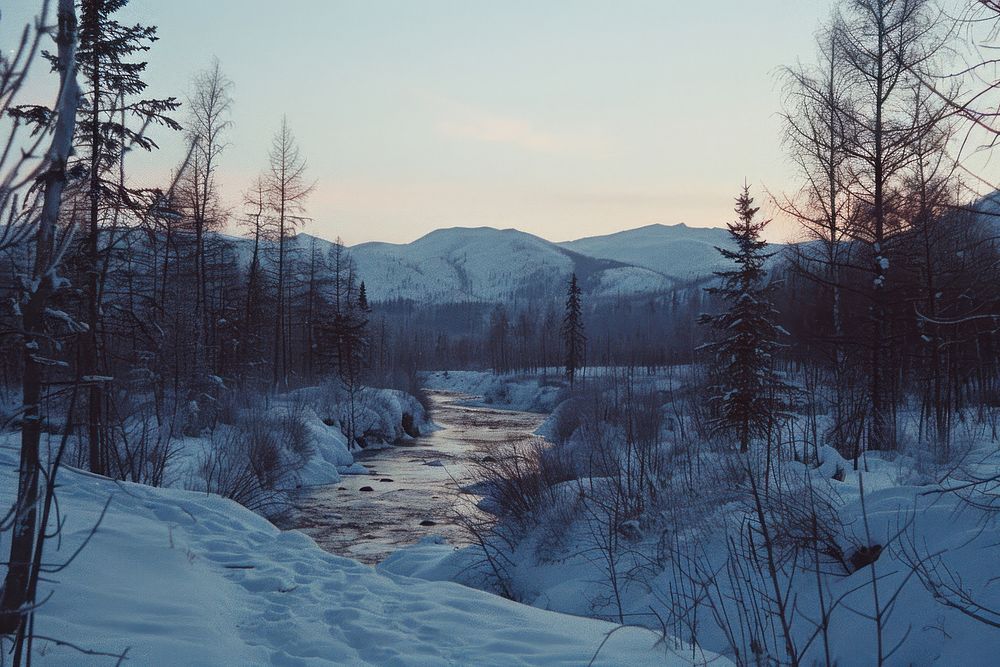 Siberia landscape in winter wilderness vegetation outdoors.