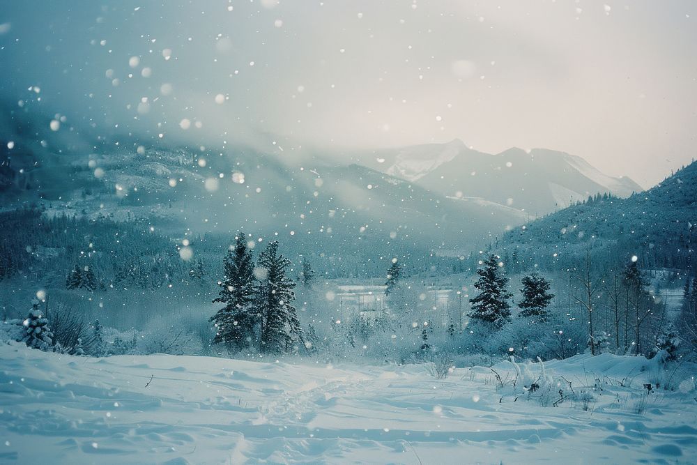 Snow storm landscape winter outdoors scenery nature.