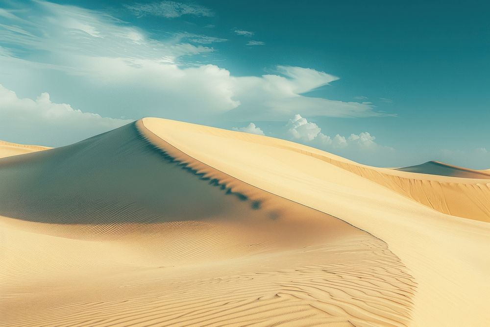 Desert outdoors horizon cricket.