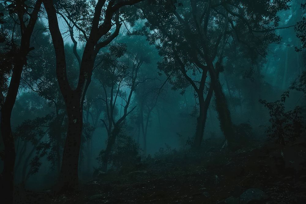 Spooky forest dark and mysterious vegetation rainforest outdoors.
