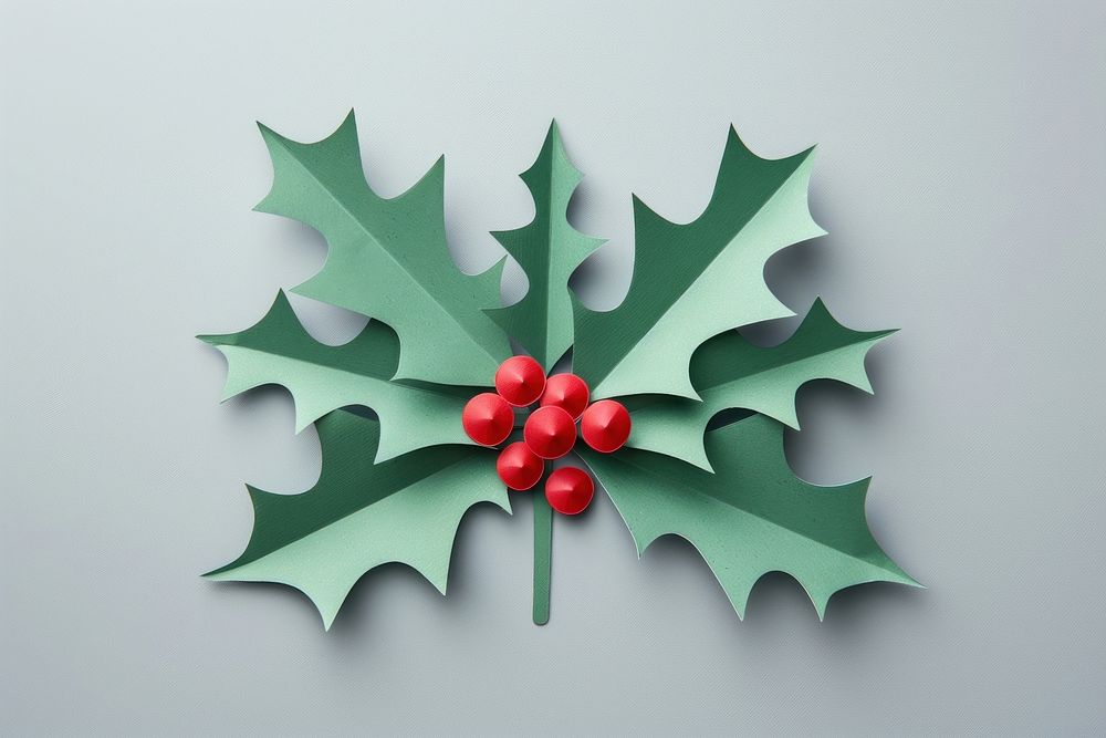 Holly plant leaf gray background.