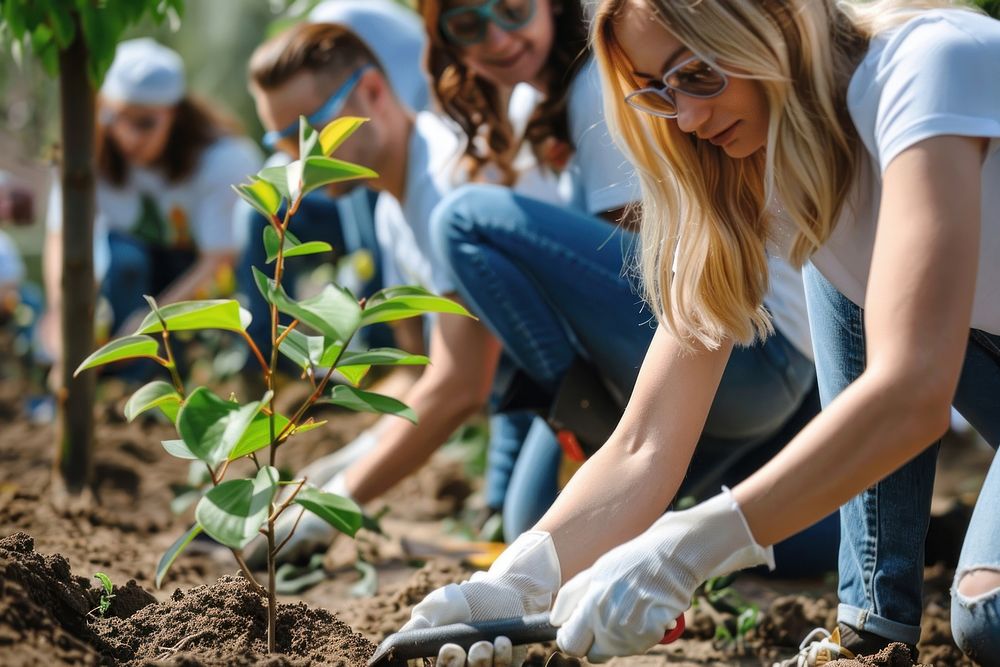 Volunteers planting tree accessories gardening accessory.