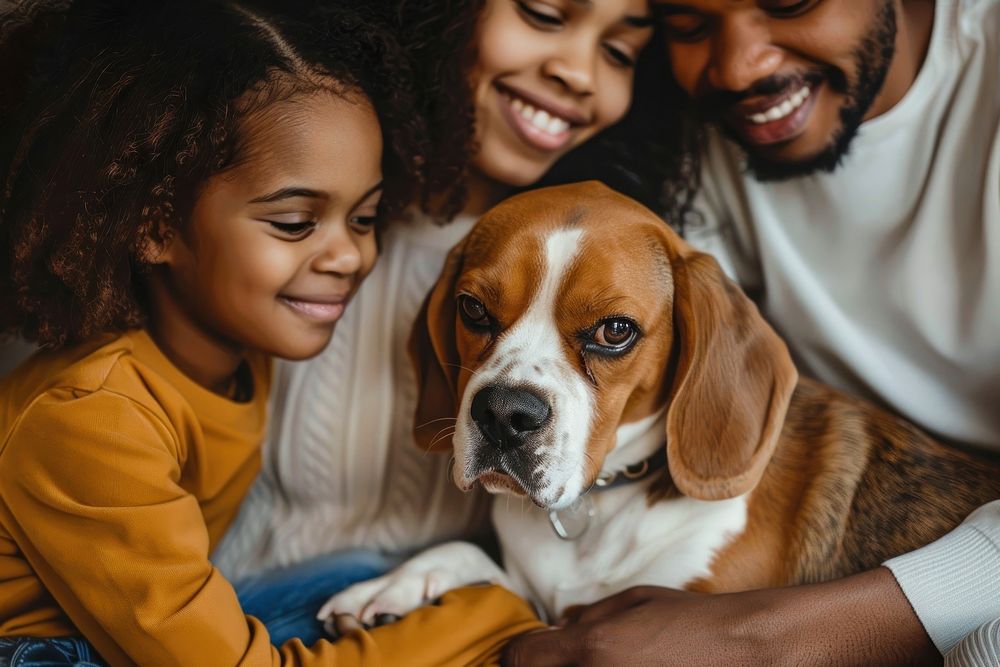 Black family and beagle dog happy person people.