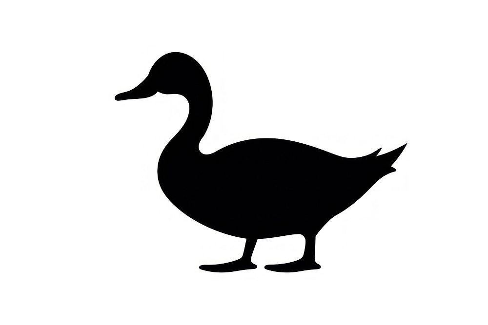 Duck silhouette duck waterfowl.
