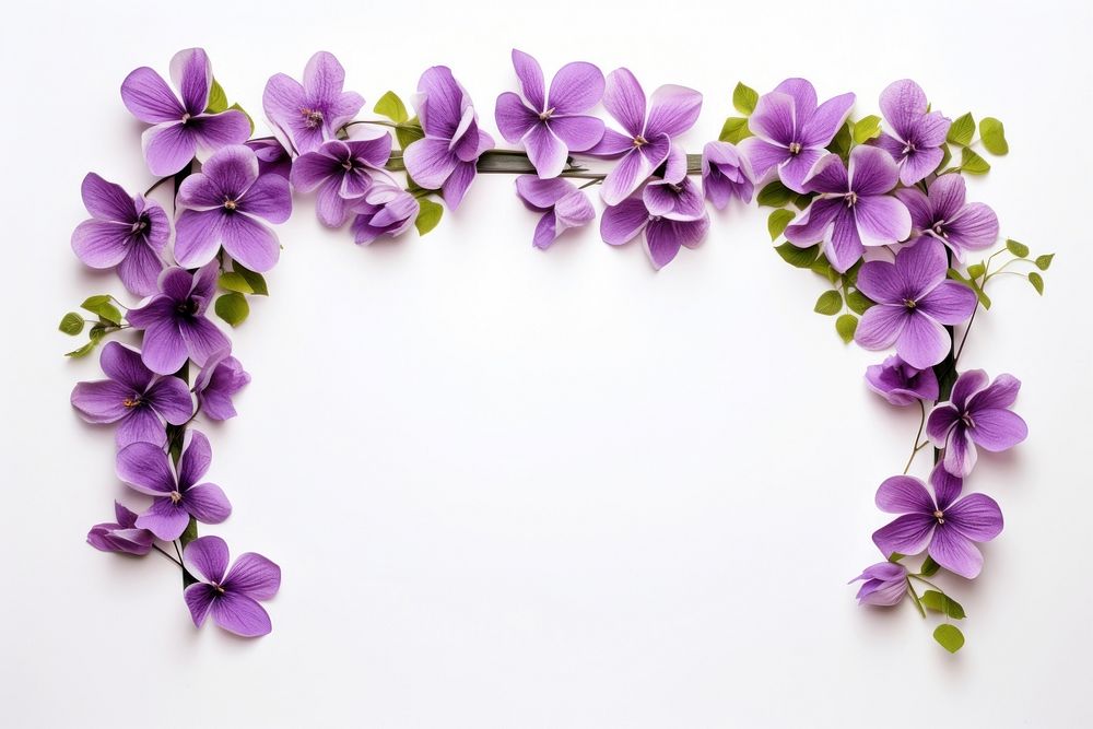 Flower frame flower purple petal.