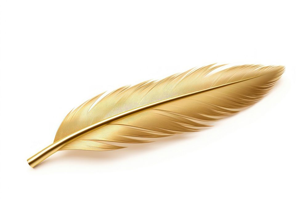 Feather feather jewelry gold.
