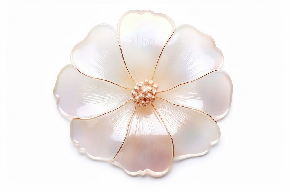 Flower jewelry brooch white.