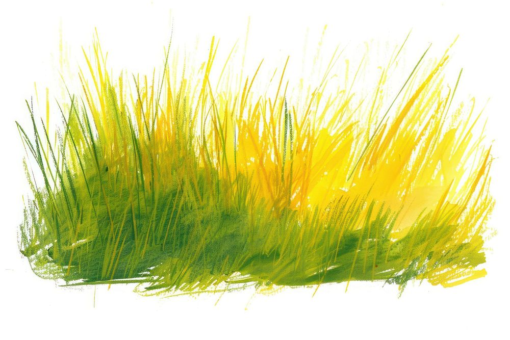 Meadow grass plant wheatgrass.