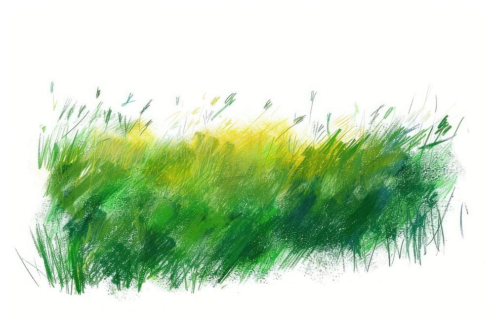 Meadow backgrounds plant grass.