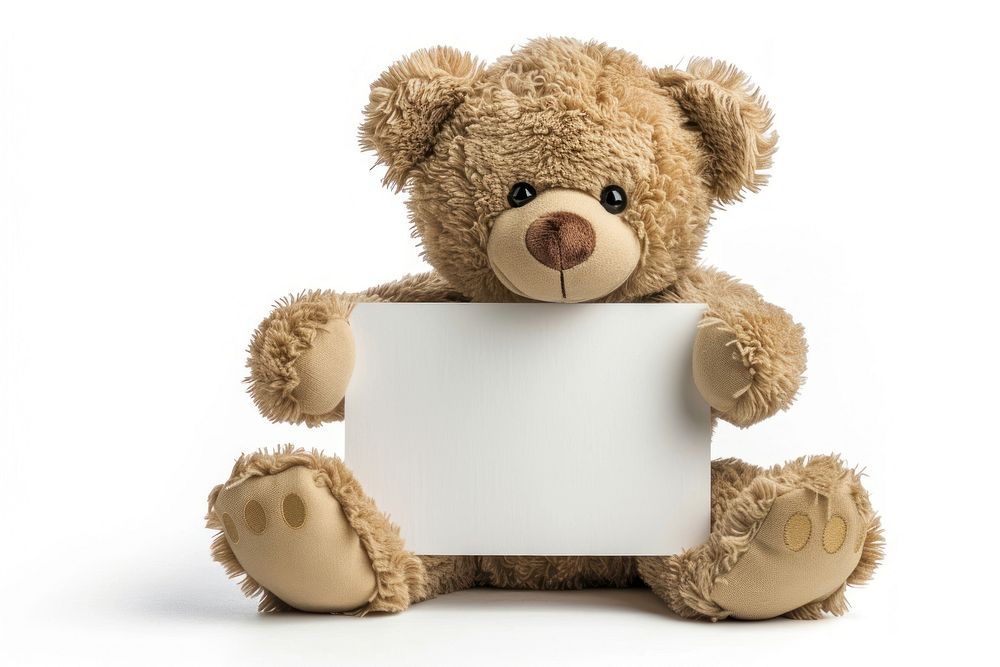 Bear holding a blank sign cute toy white background.