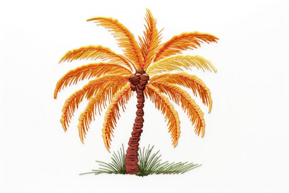 Palm tree invertebrate palm tree arecaceae.