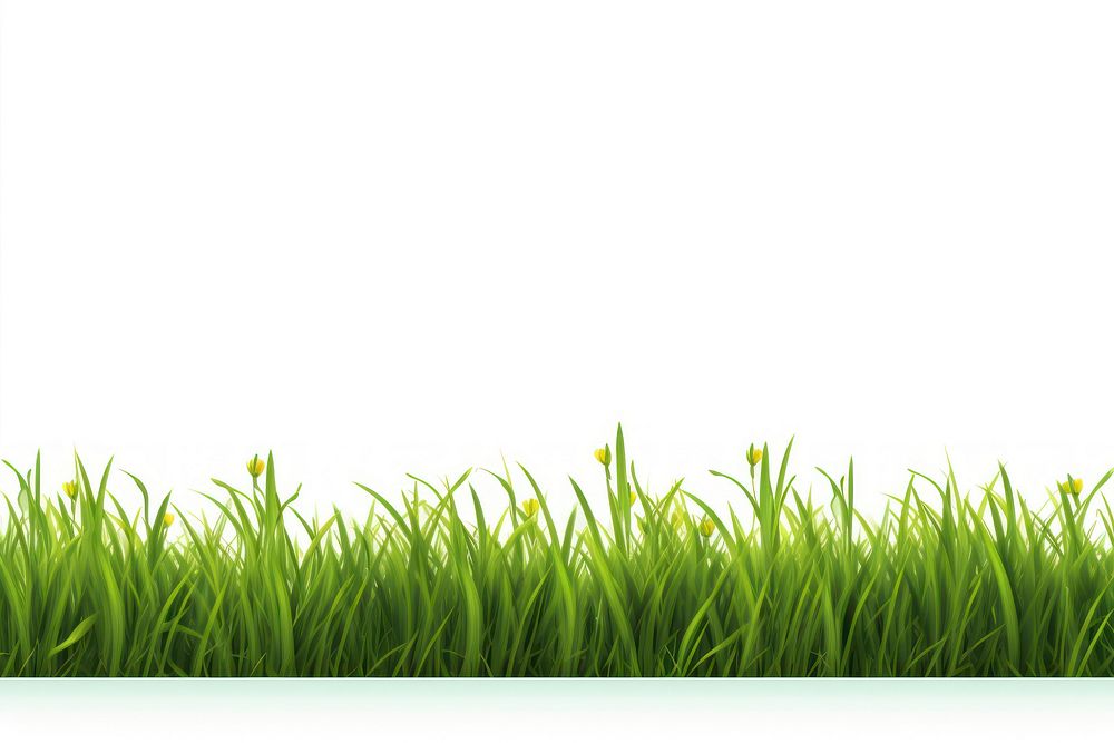 Grass green backgrounds plant.