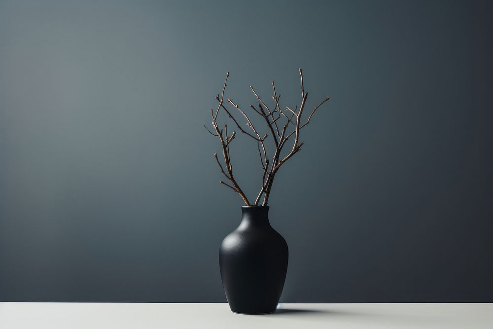 Vase with dry branch stick plant decoration houseplant.