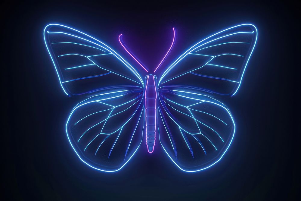 Butterfly light neon purple.