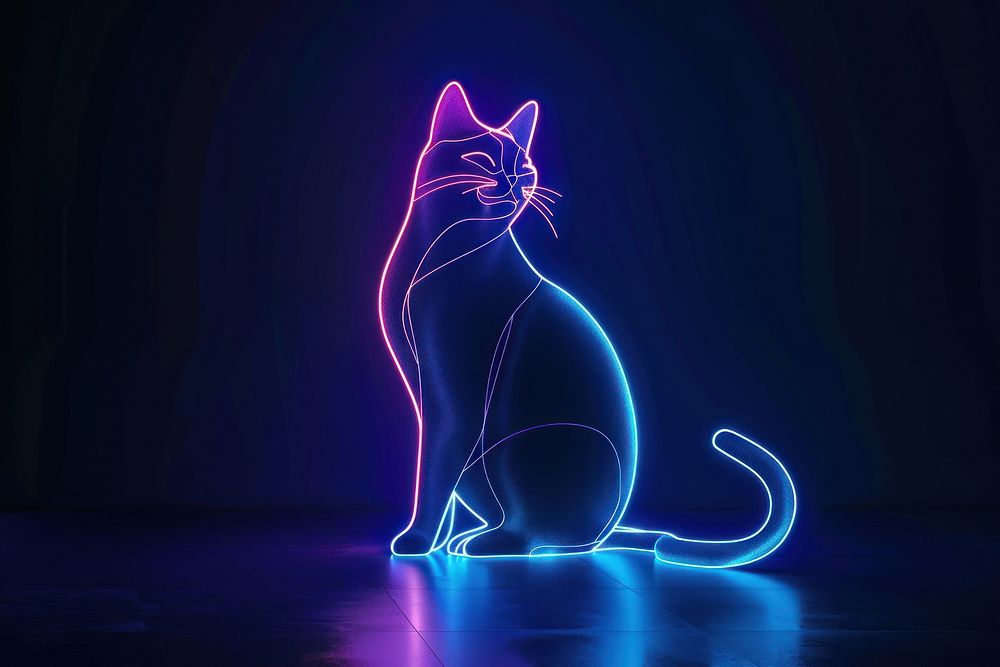 Cat light neon animal.