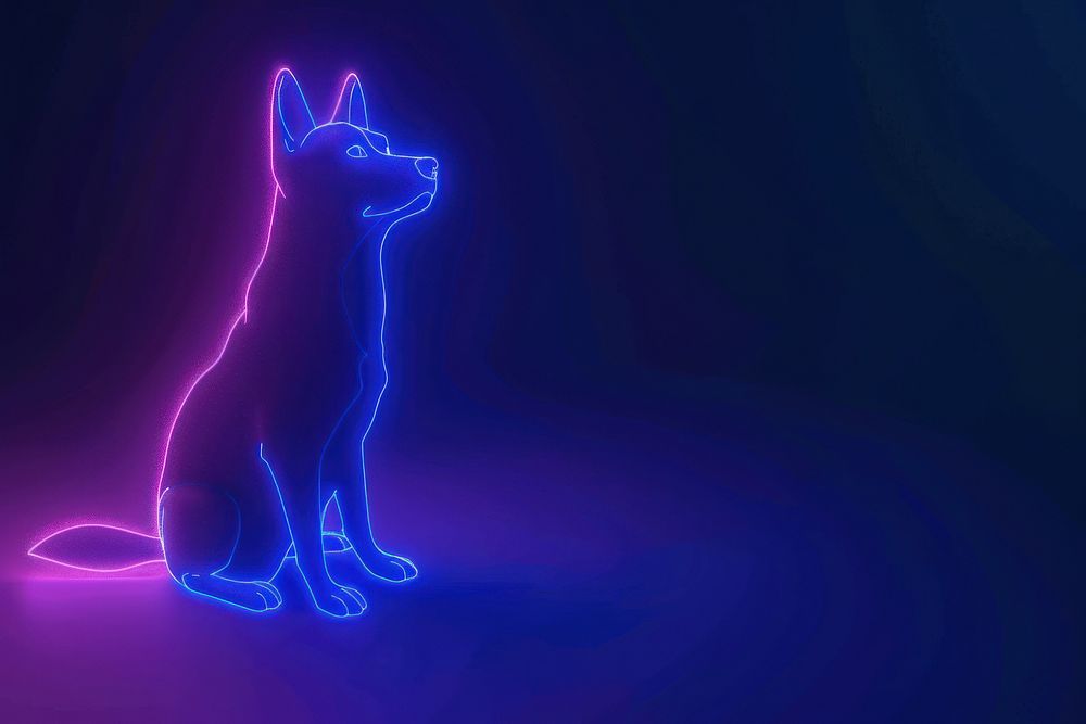 Dog light neon mammal.