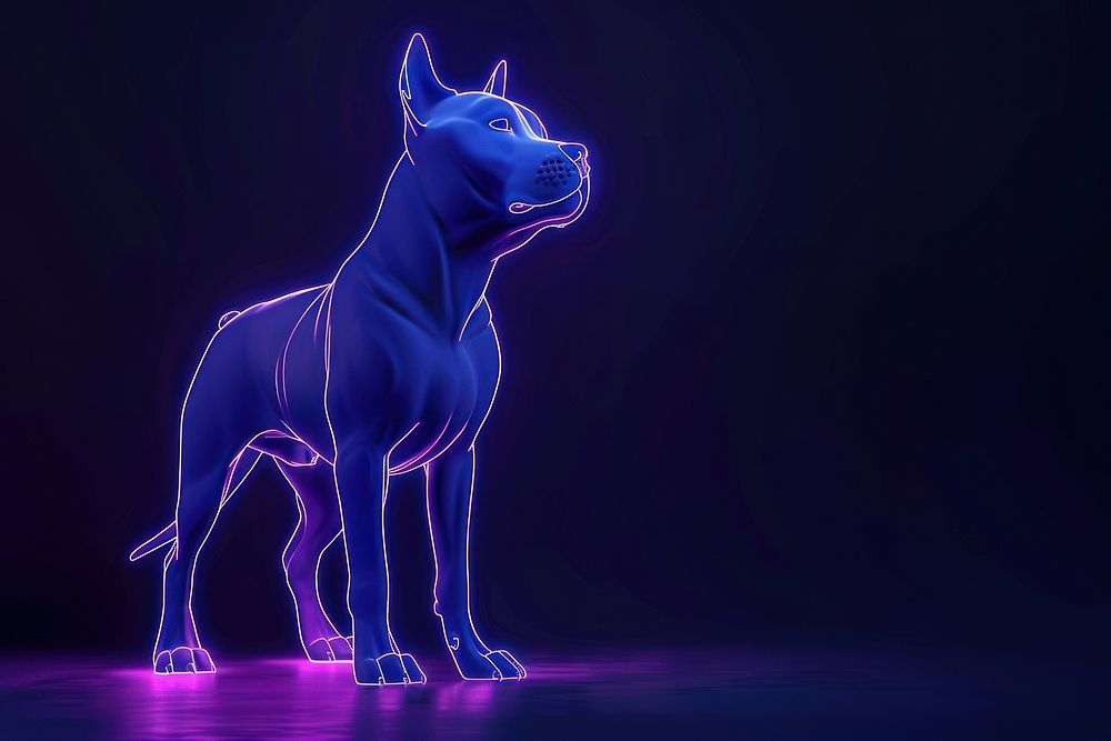 Dog purple light animal.