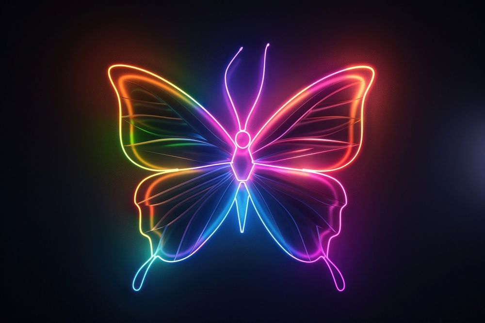 Butterfly neon light illuminated.