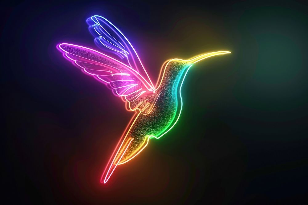 Hummingbird neon nature light.