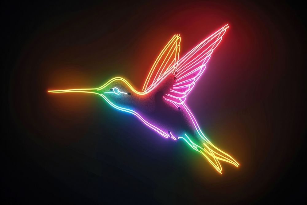 Hummingbird neon nature light.