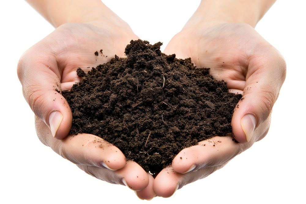 Hands with garden soil outdoors person nature.