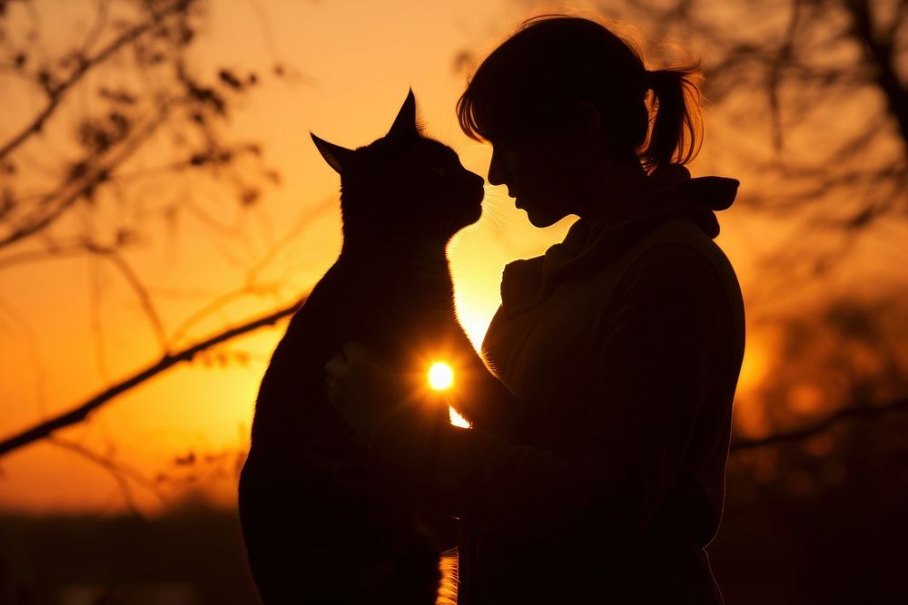 Cat hugging silhouette photography backlighting outdoors female.