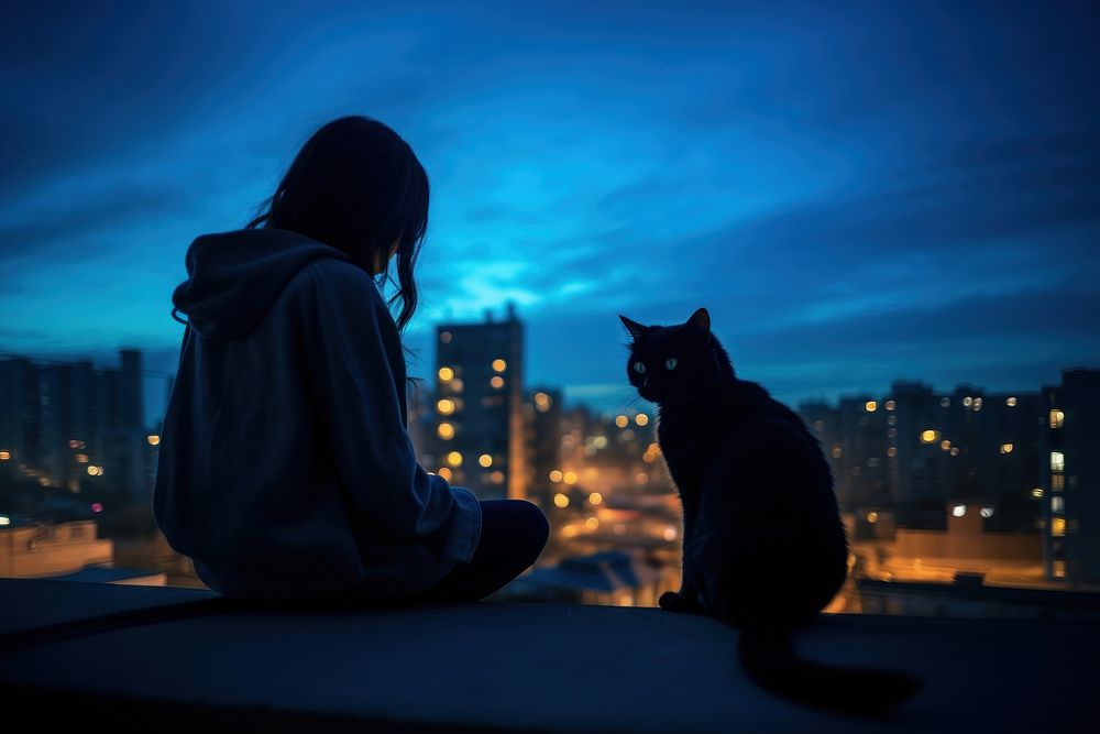 Cat silhouette photography backlighting architecture cityscape.
