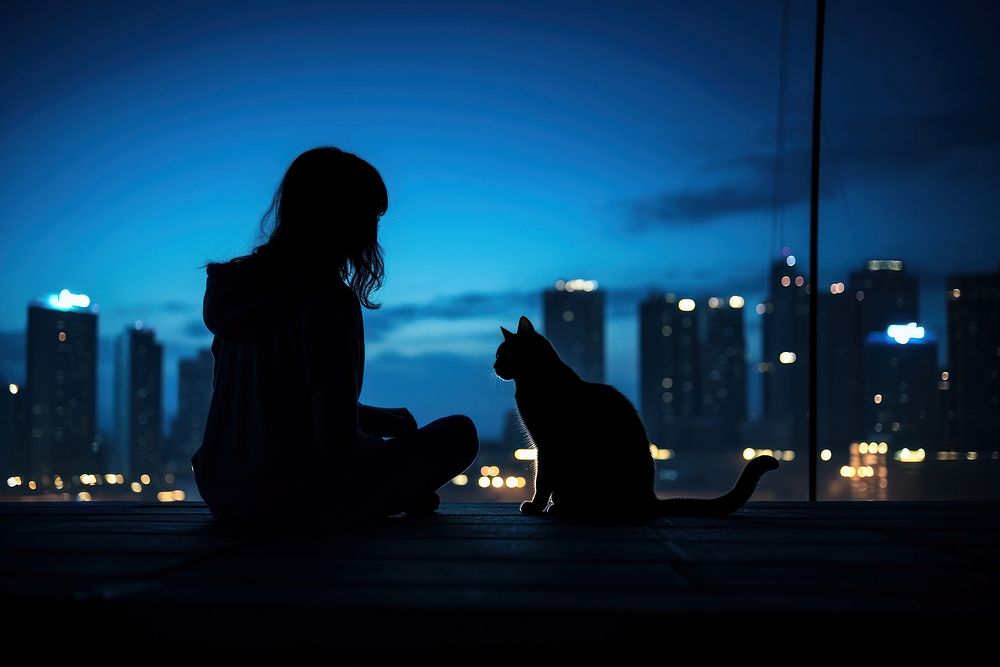 Cat silhouette photography backlighting architecture cityscape.