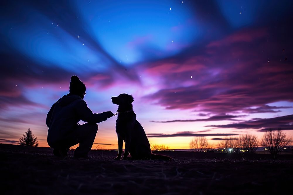 Dog silhouette photography sky backlighting outdoors.