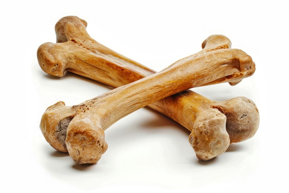 Two dog bones plant white background driftwood.