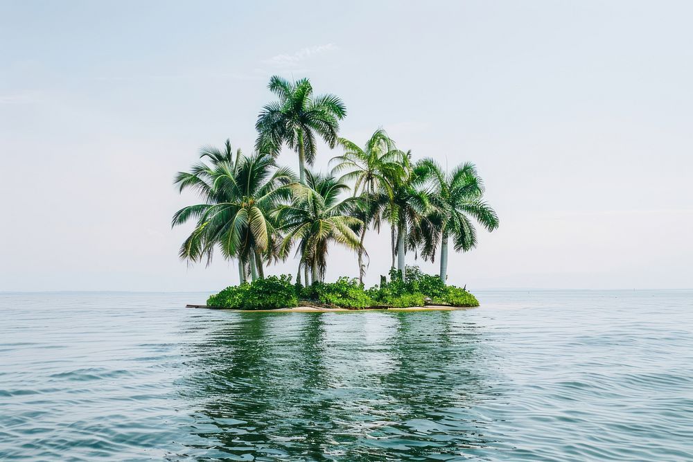 Tropical island with palm trees vegetation shoreline outdoors.