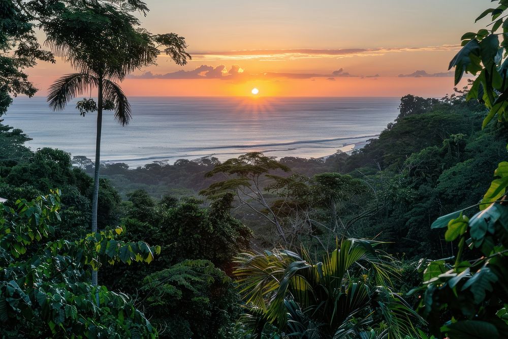 Tropical island view point sunset vegetation rainforest landscape.