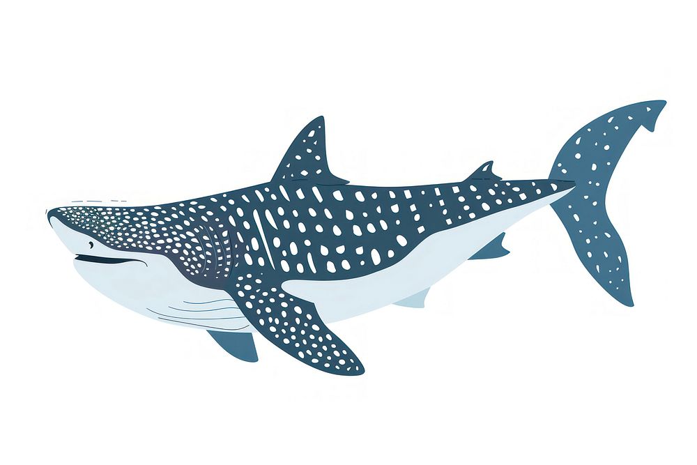 Whale shark flat illustration animal mammal fish.