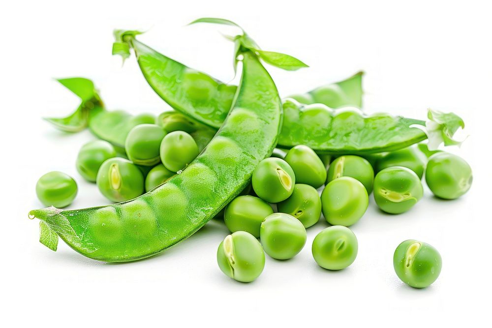 Close-up photo of Fresh Green Peas pea vegetable plant.