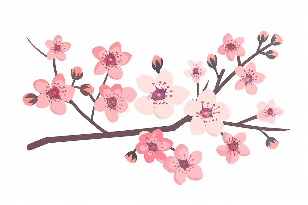 Flat illustration cherry blossom flower plant springtime.