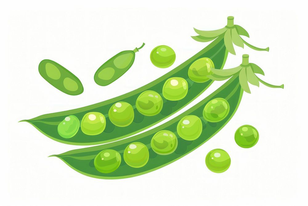 Flat illustration Fresh Green Peas pea vegetable plant.