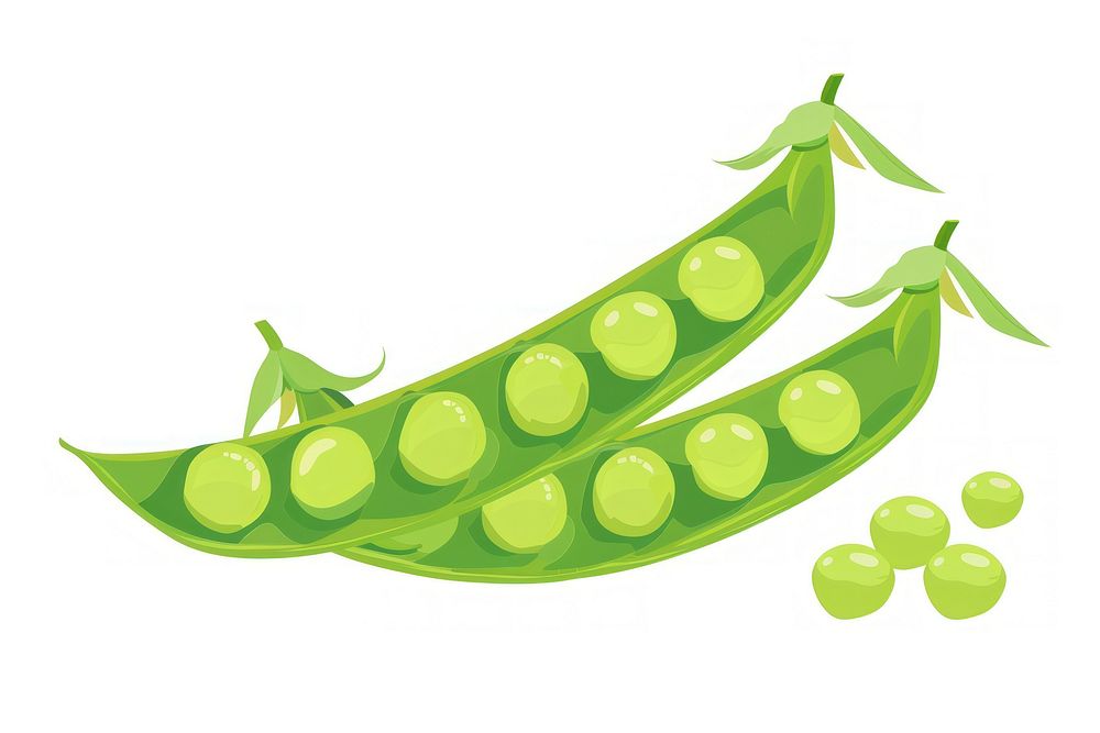 Flat illustration Fresh Green Peas pea vegetable green.