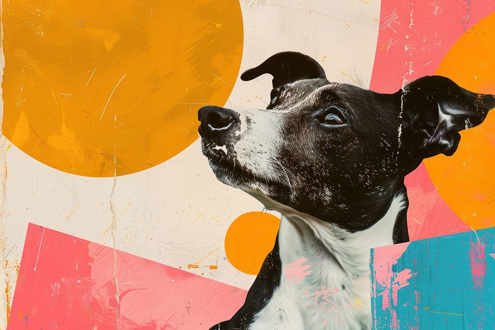 Retro collage of dog painting animal canine.