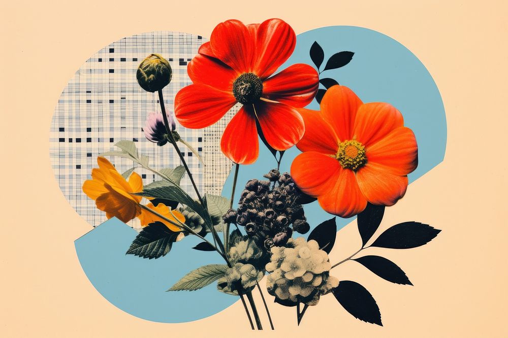 Retro collage of flowers asteraceae graphics anemone.