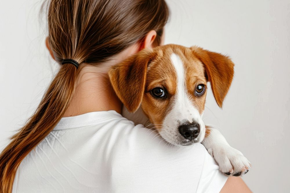 Kiss dog on shoulder mammal animal beagle.