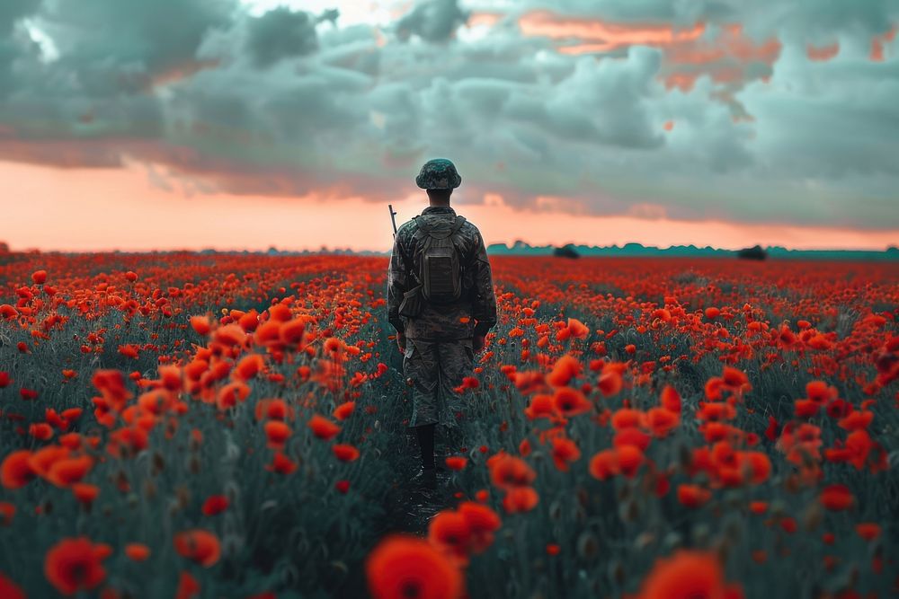 Soldier stand on poppy field photo photography military.