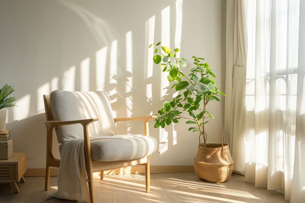 Plant in living room accessories windowsill furniture.