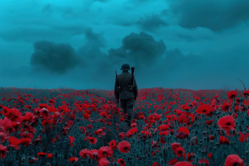 Of soldier stand on poppy field photo photography outdoors.