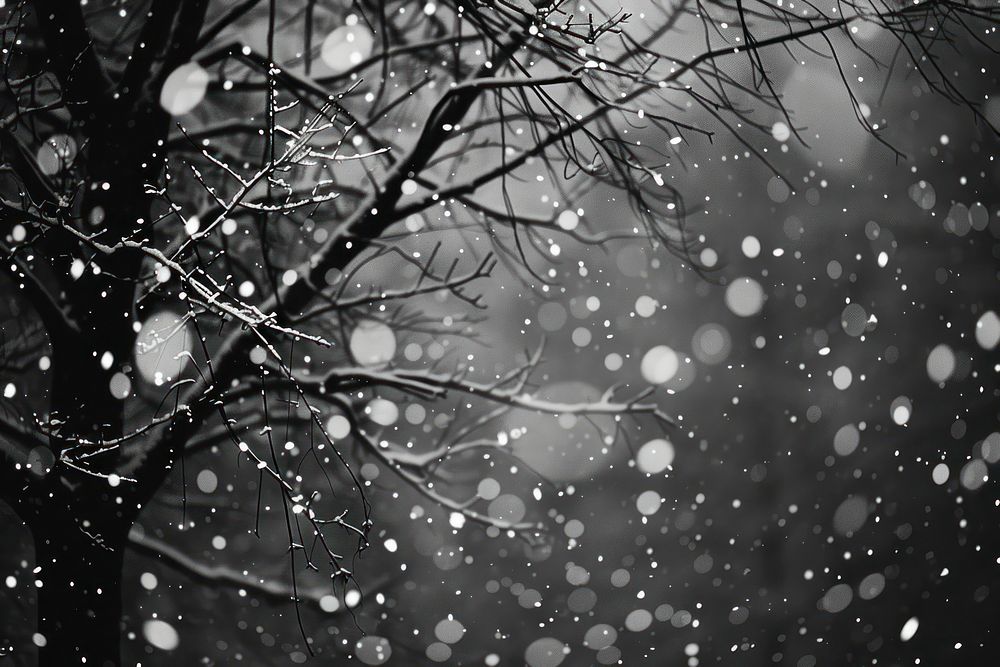 Snow falling outdoors blizzard weather.