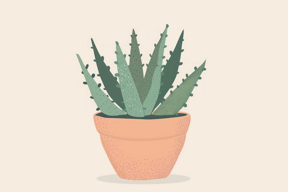 Succulent pot flat illustration plant aloe.
